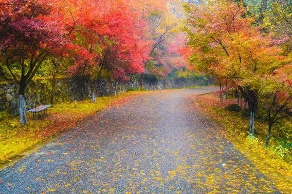 泡温泉享美食坐拥7000亩山水画躺着看撩人秋色