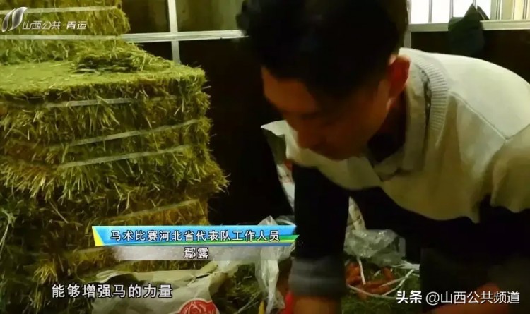 独家探访|吃鸡蛋做spa揭秘特殊运动员的VIP待遇